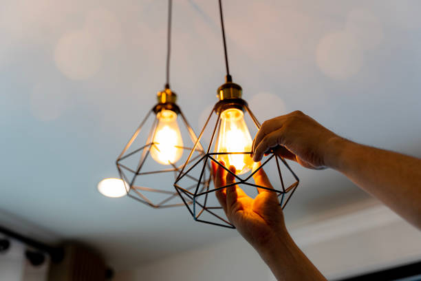 Best Ceiling Fan Installation Electrician  in Las Lomas, TX