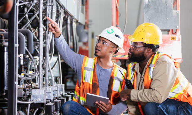 Best Electrical System Inspection  in Las Lomas, TX