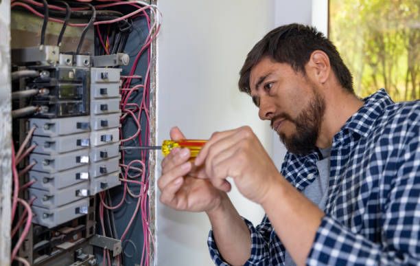 Best Emergency Electrician Near Me  in Las Lomas, TX